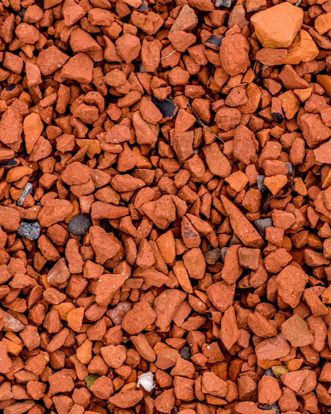 LA FLEUR DE CERISIER