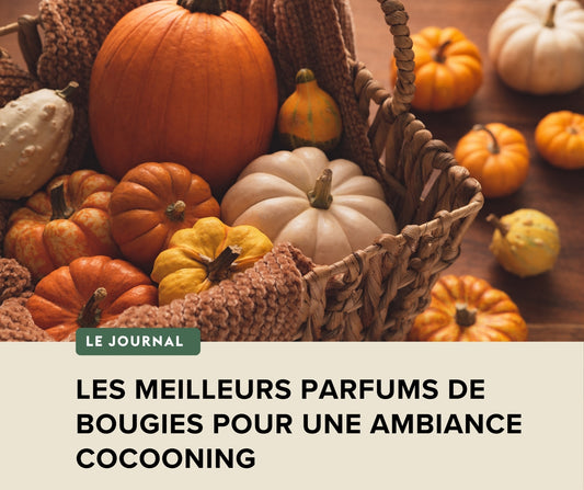 🍂 Les meilleurs parfums de bougies pour une ambiance cocooning