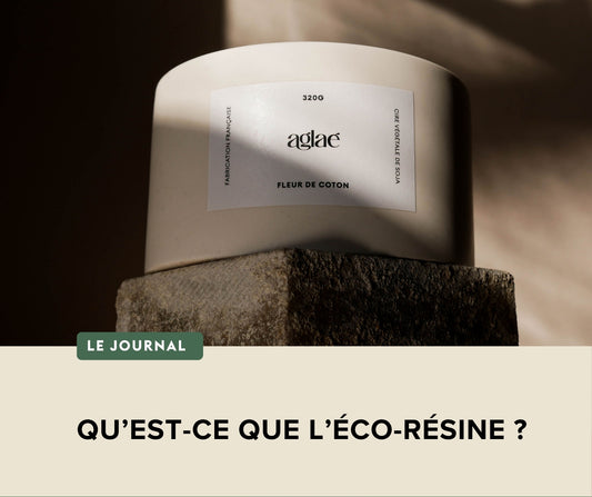 QU'EST-CE QUE L'ÉCO-RÉSINE ?