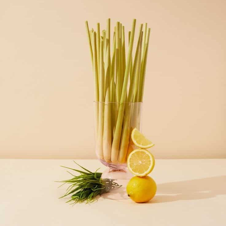 bougie et recharge citronnelle