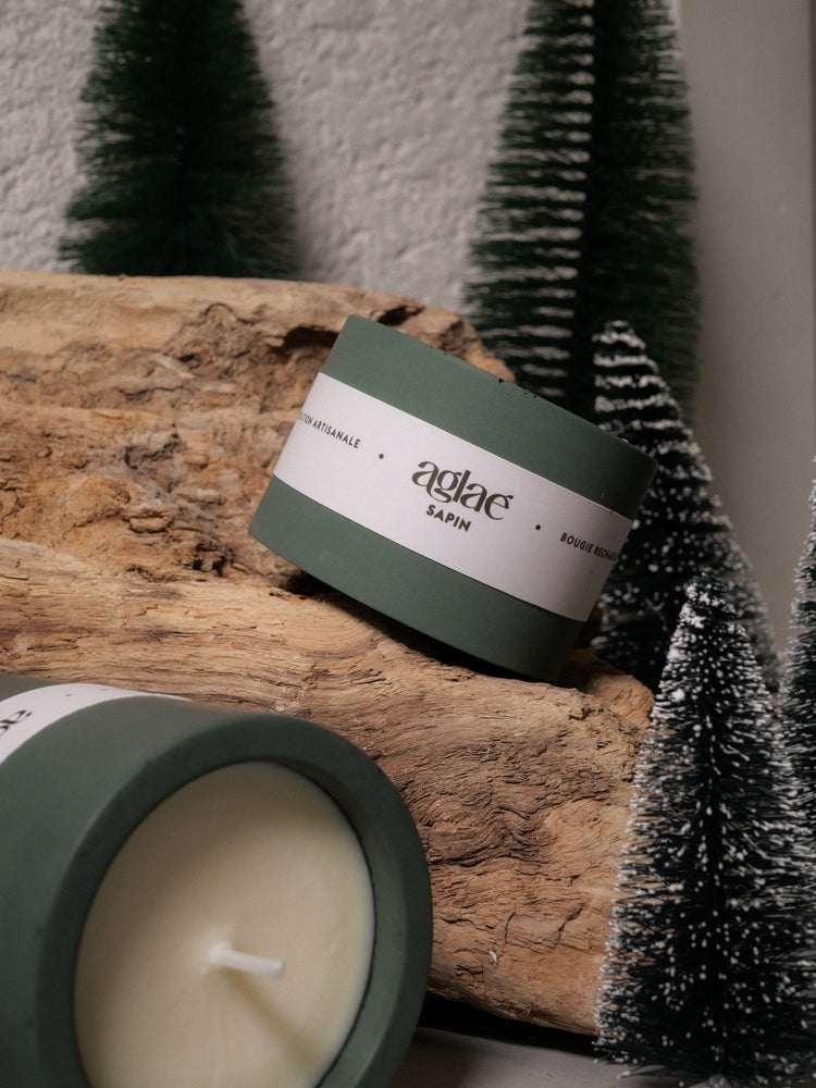 LA COLLECTION INTEMPORELLE